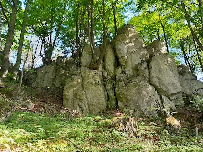 Januszkowa Góra