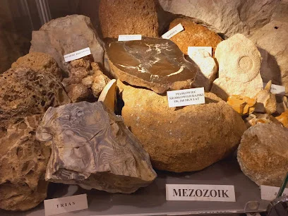 Kolekcja Minerałów Ziemi Olkuskiej i Skamieniałości Jury Krakowsko-Częstochowskiej